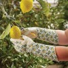 Briers Ladies' Sicilian Lemon Garden Gauntlets