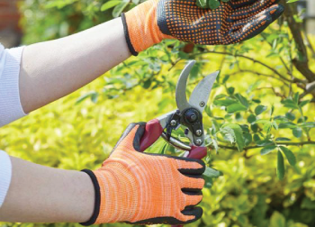 Summer Gardening Gloves