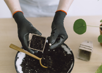 Biodegradable Gardening Gloves