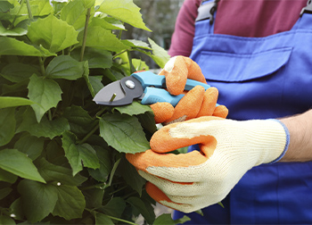 Cut Resistant Gardening Gloves