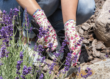 Fashionable Gardening Gloves