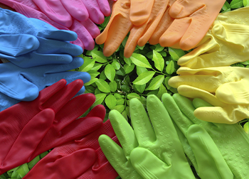 Gardening Gloves by Colour