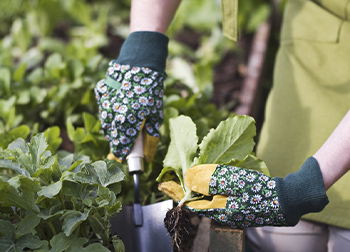 Gardening Gloves by Pattern