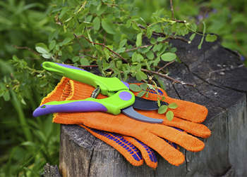 Gardening Gloves by Size