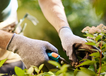 Kevlar Gardening Gloves