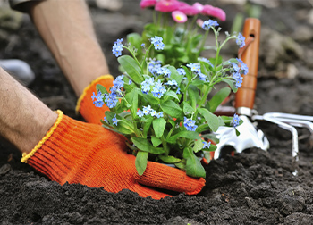 Plant Handing Gloves