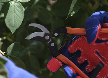 Reinforced Gardening Gloves