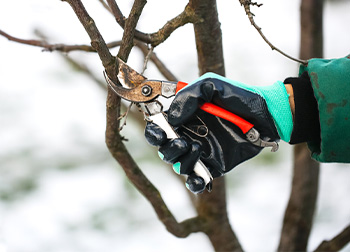 Thermal Waterproof Gardening Gloves