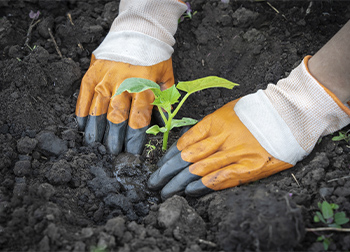 Water Resistant Gardening Gloves