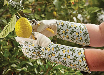 Best Women's Gardening Gloves 2024